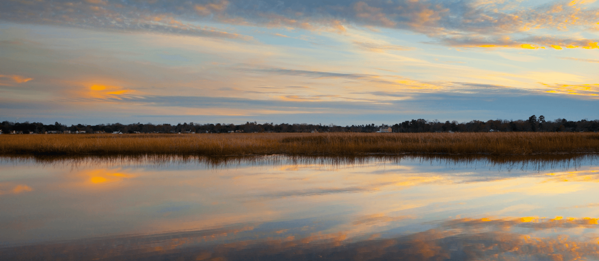photo of marsh country in south carolina