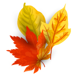 autumn leaves in orange, green and yellow