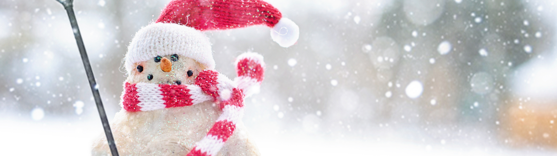 Website Banners (37)