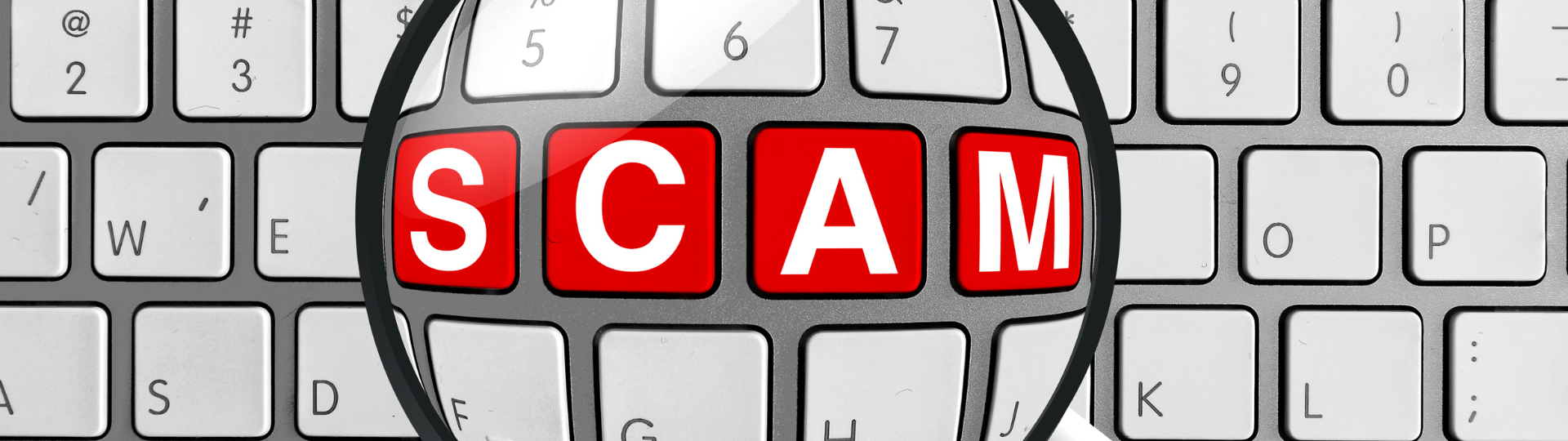 Website Banners (39)